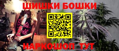 тгк Камышлов